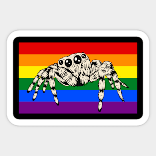 Cute Pet Jumping Spider Queer Gay Pride Flag Rainbow Month Sticker